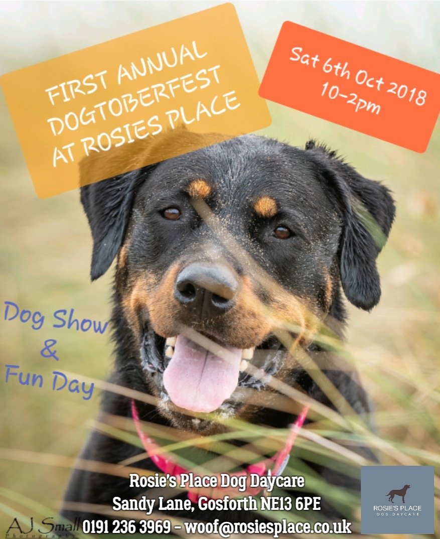 RosieDogDaycare's tweet photo. Rosie's Place will be hosting it's very First Annual Dogtoberfest on Saturday 6th October 10-2pm π»πΆ
#rosiesplace #dogdaycare #dogtoberfest #doggybeer #funday #fundogshow #fundraiser #raffle #newcastledogandcatshelter #annualdogshow #gosforth #gosforthlife #freeentry #letspawty https://t.co/3MWX27teGj
