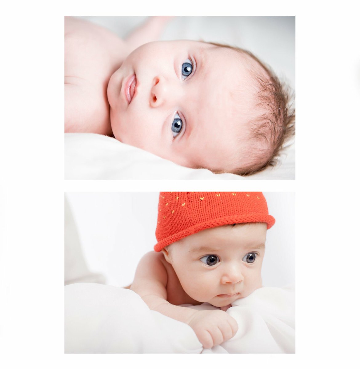 Imagethirst tweet media