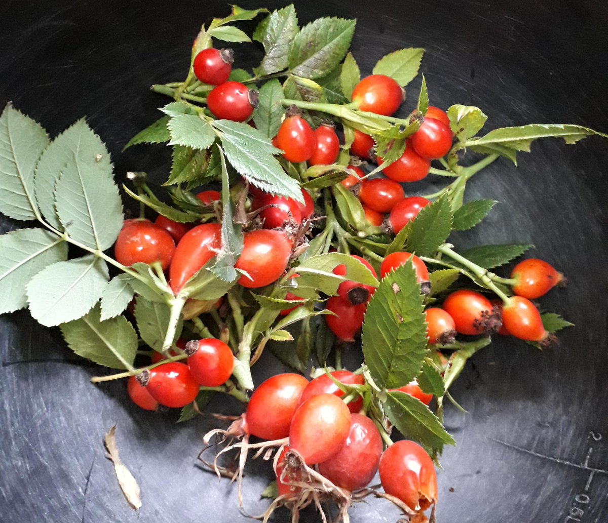 Sundays.... Get your wellies on, go for a walk, fill your pockets with goodies then pop to Cellar Door for a Sunday Roast and a pint.... Roast dinner served 12noon till 4pm....