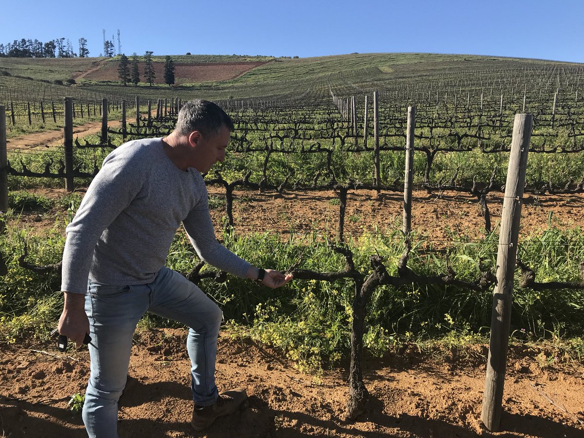 MattyMagnums's tweet photo. Francois’ eggs🥚claypots and Mike’s marvellous Merlot #Laibach #Stellenbosch @francoiswineman @mclowe24 #caperoadtrip https://t.co/kCqHnTBX0y