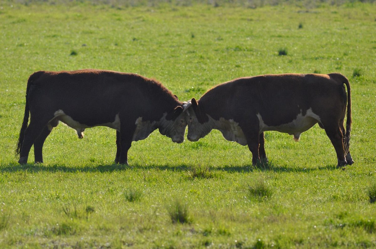 Mañana es lunes y vos ...