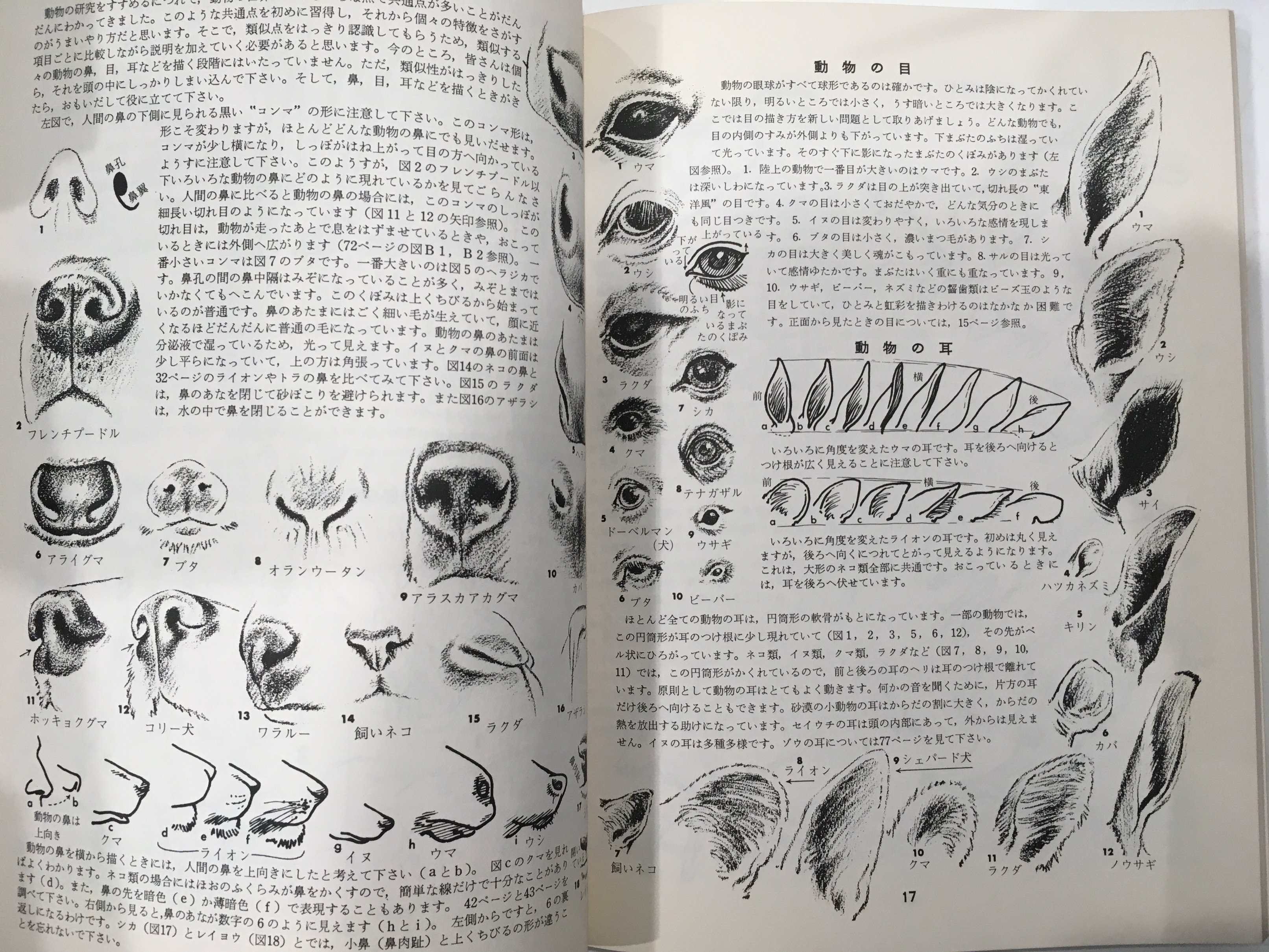 東京書房 古本買取販売 ジャック ハム 動物の描き方 入荷しております T Co Oznhsssfal Twitter