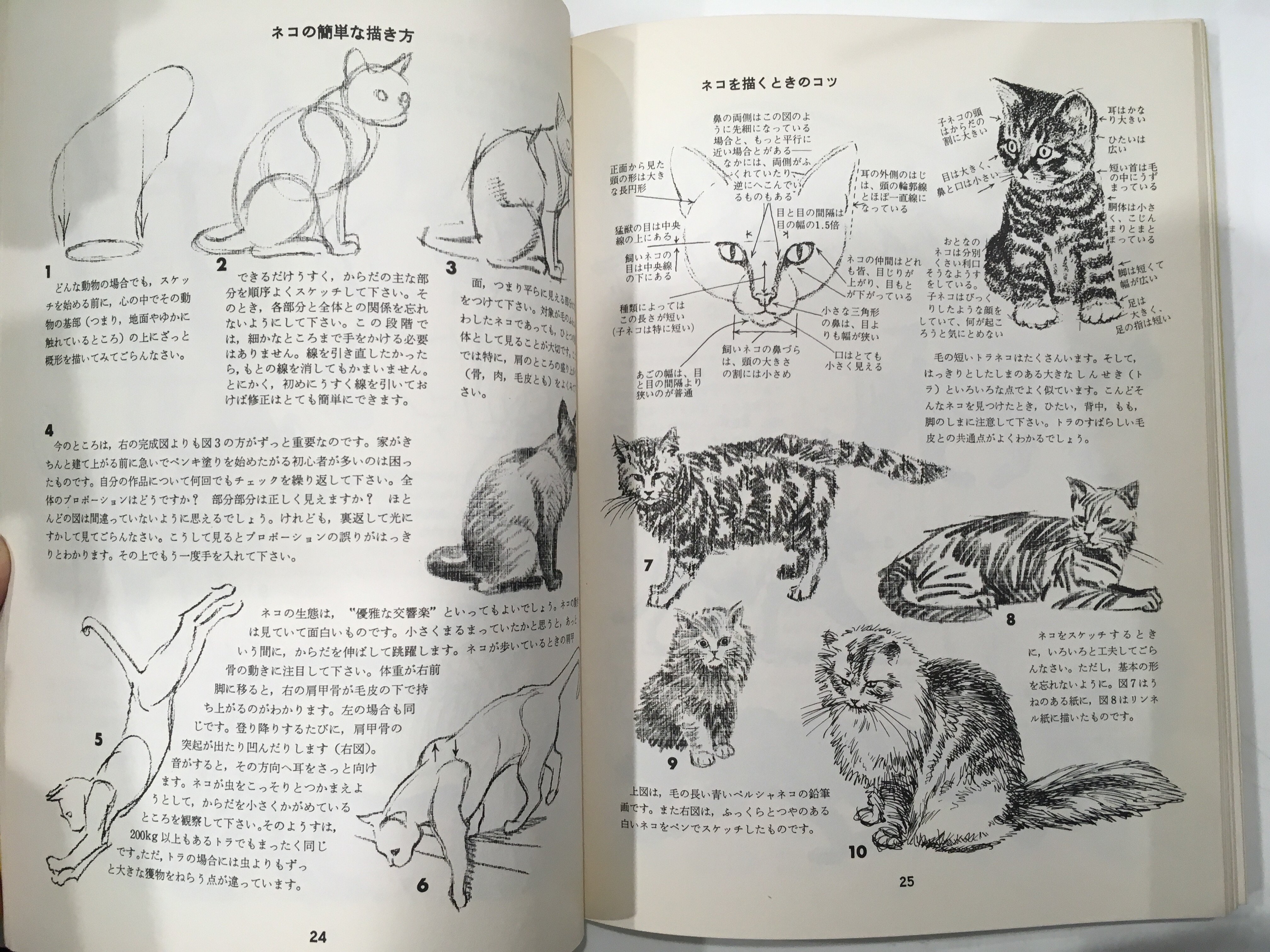 東京書房 古本買取販売 ジャック ハム 動物の描き方 入荷しております T Co Oznhsssfal Twitter