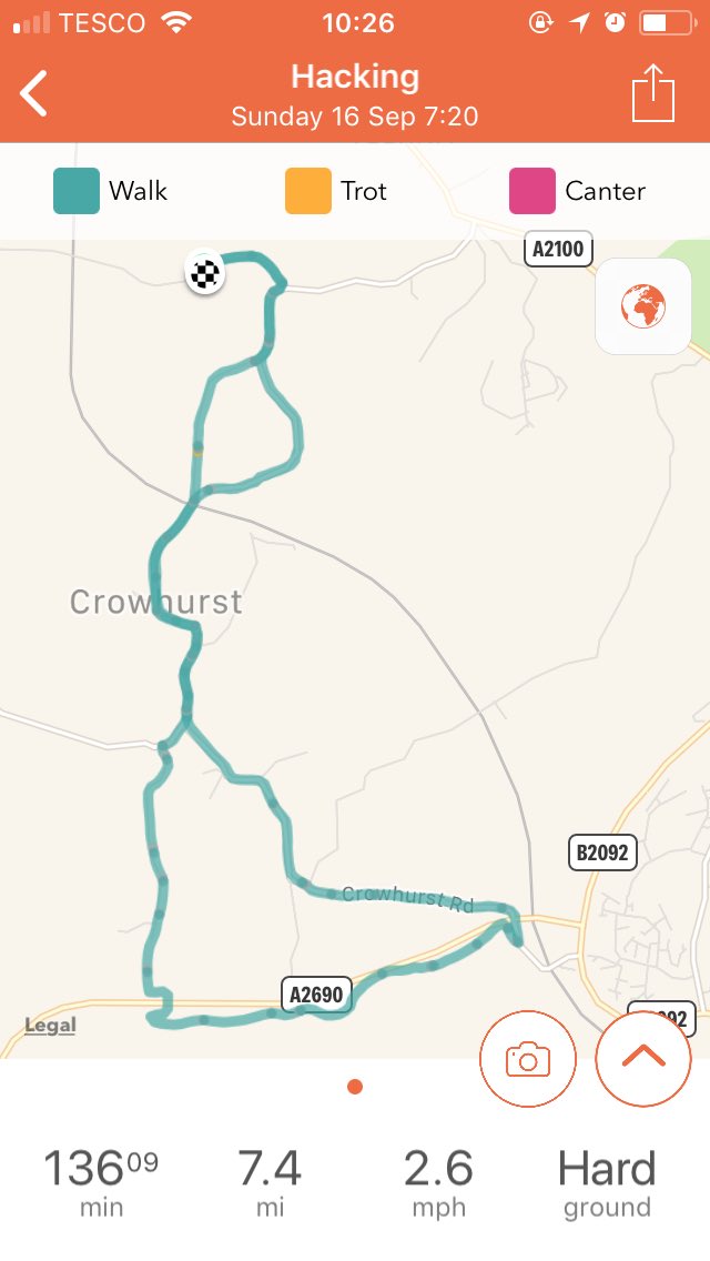 Tweeklet's tweet photo. Fab ride out with these two, gutted that the farm land was carved up but so grateful that it’s been made into something the local community can use, saw so many runners, walkers and cyclists out on the green way this morning #hacking #ROR #Fitnesswork #hillwork #walkwork #bexhill https://t.co/LzHjwOvOX7