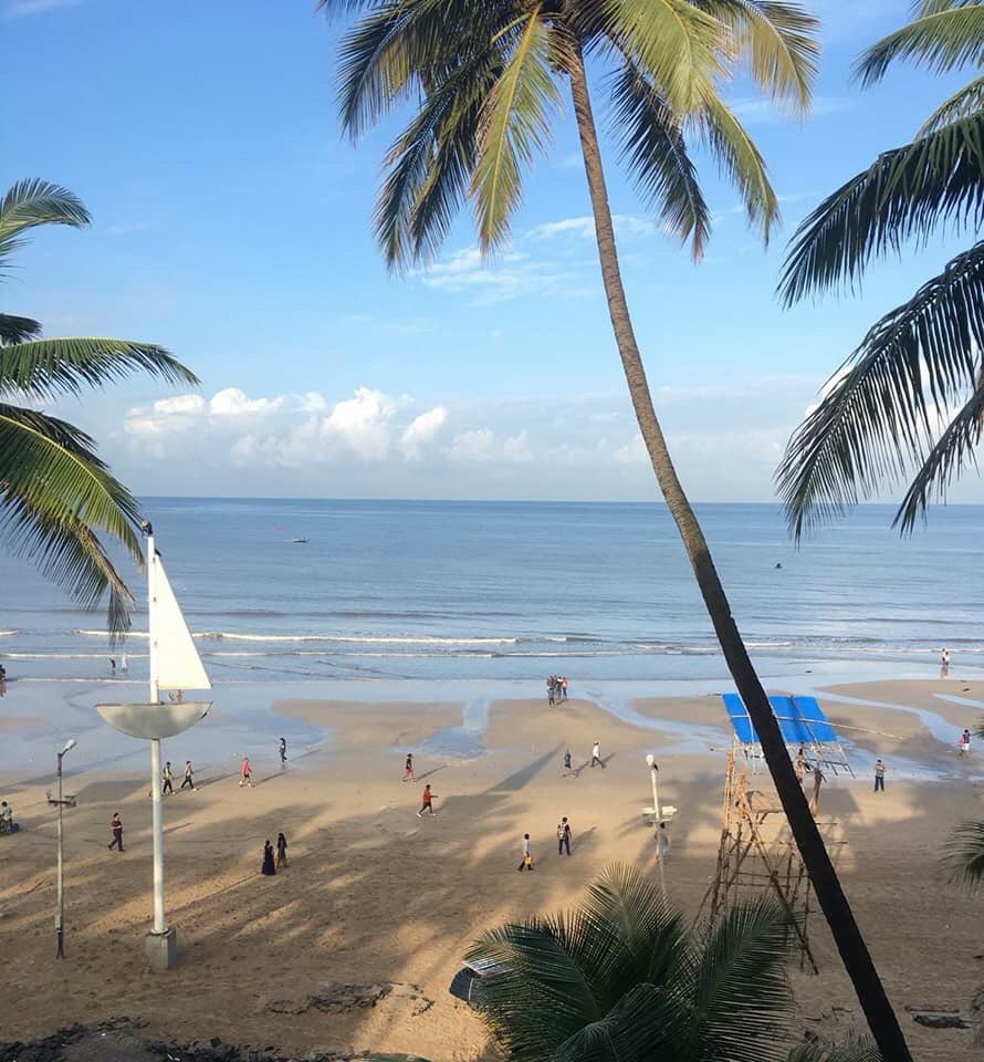 This is gold. From what it was and what it is, #juhubeach looks so fantastic.

All credits to #beachwarriors #missiongreenmumbai and team. 

@Lokhandwala_Bom @juhubeachclub @LocalPressCo @RidlrMUM 

#greenmumbai #CleanWithPassionForNow #Cleanjuhubeach #mumbai #SwachhBharat