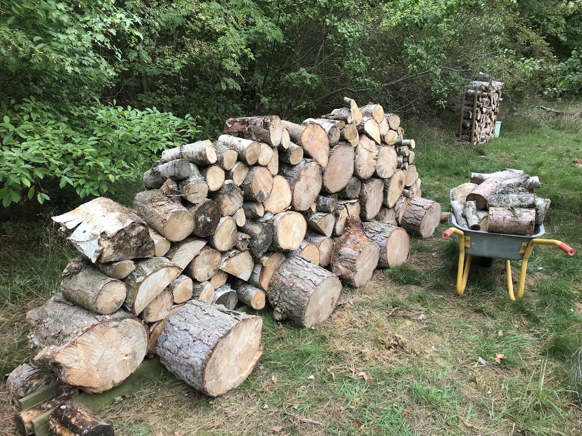 phanitba's tweet image. Sometimes when working in the office, engaged in interesting projects and discussions, I forget the massive satisfaction you get from doing something different, in particular using my body - and a little help from a chainsaw. I enjoyed this weekend.