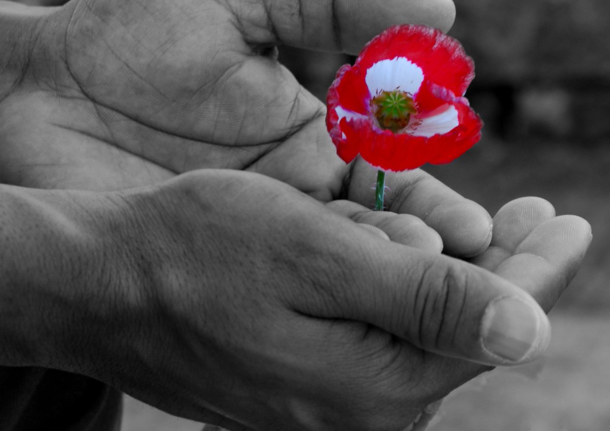 HighGroundBoss's tweet photo. Just submitted my application to @thetimes for their #ChristmasCharityAppeal. Wish me luck - it could be such a gamechanger for us..!! #Lifebeyondthemilitary #fundraising #goodcomms #volunteering #Veteran https://t.co/ncIH9K88RW