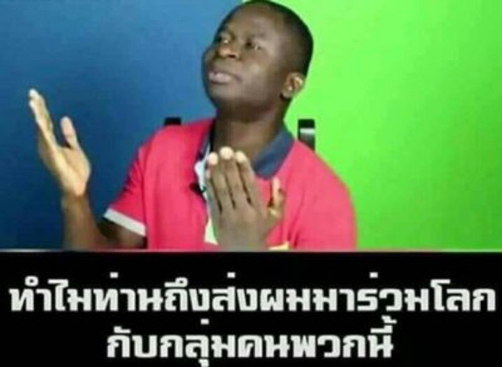 สายฝน tweet media