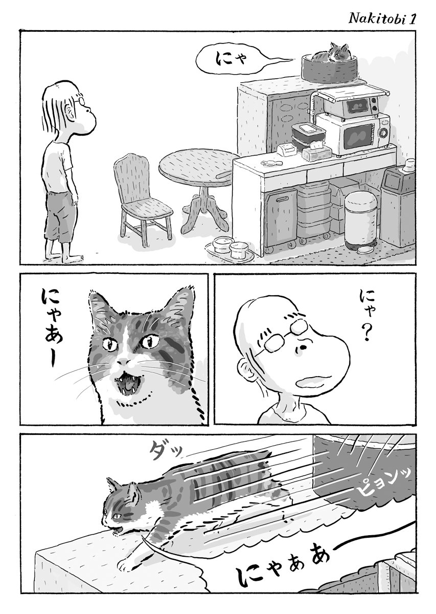 2ページ猫漫画「鳴きながら走る菊ちゃん」 