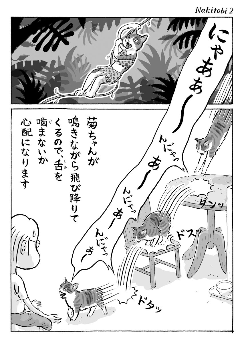 2ページ猫漫画「鳴きながら走る菊ちゃん」 