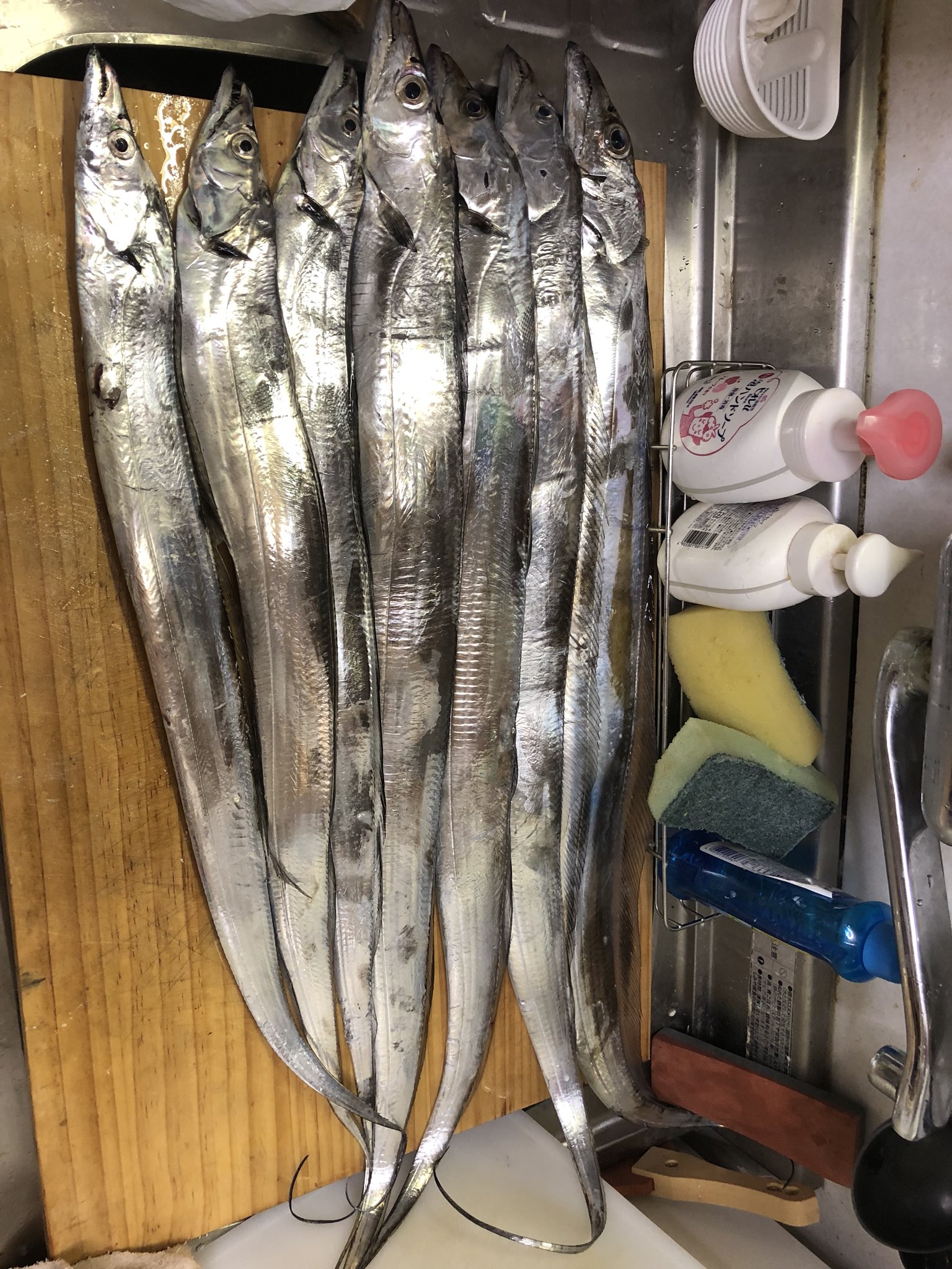 木更津釣り好き Masa Twitter