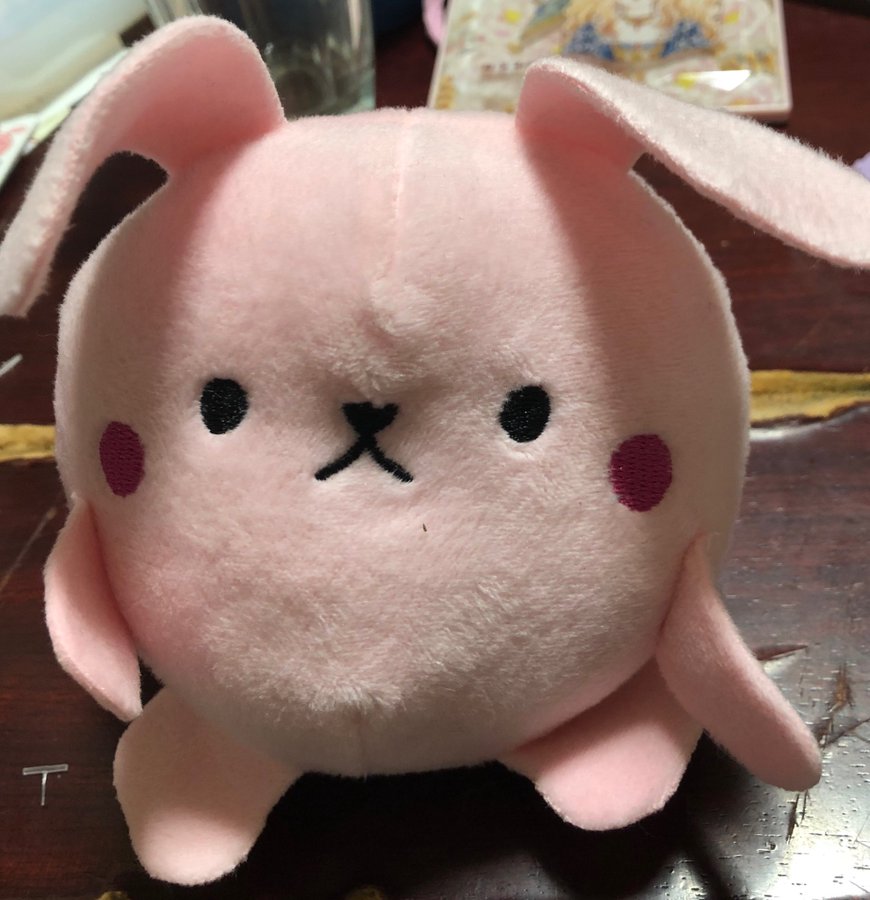 ダイソーのぬいぐるみの種類は 犬 パンダ くま うさぎ 猫 イマコレ 今 ホットな話題はなによ