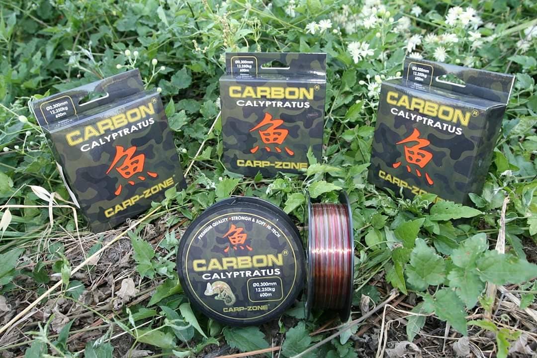 MirkoTomasiello's tweet photo. #carpzone https://t.co/X4raS1xJb3