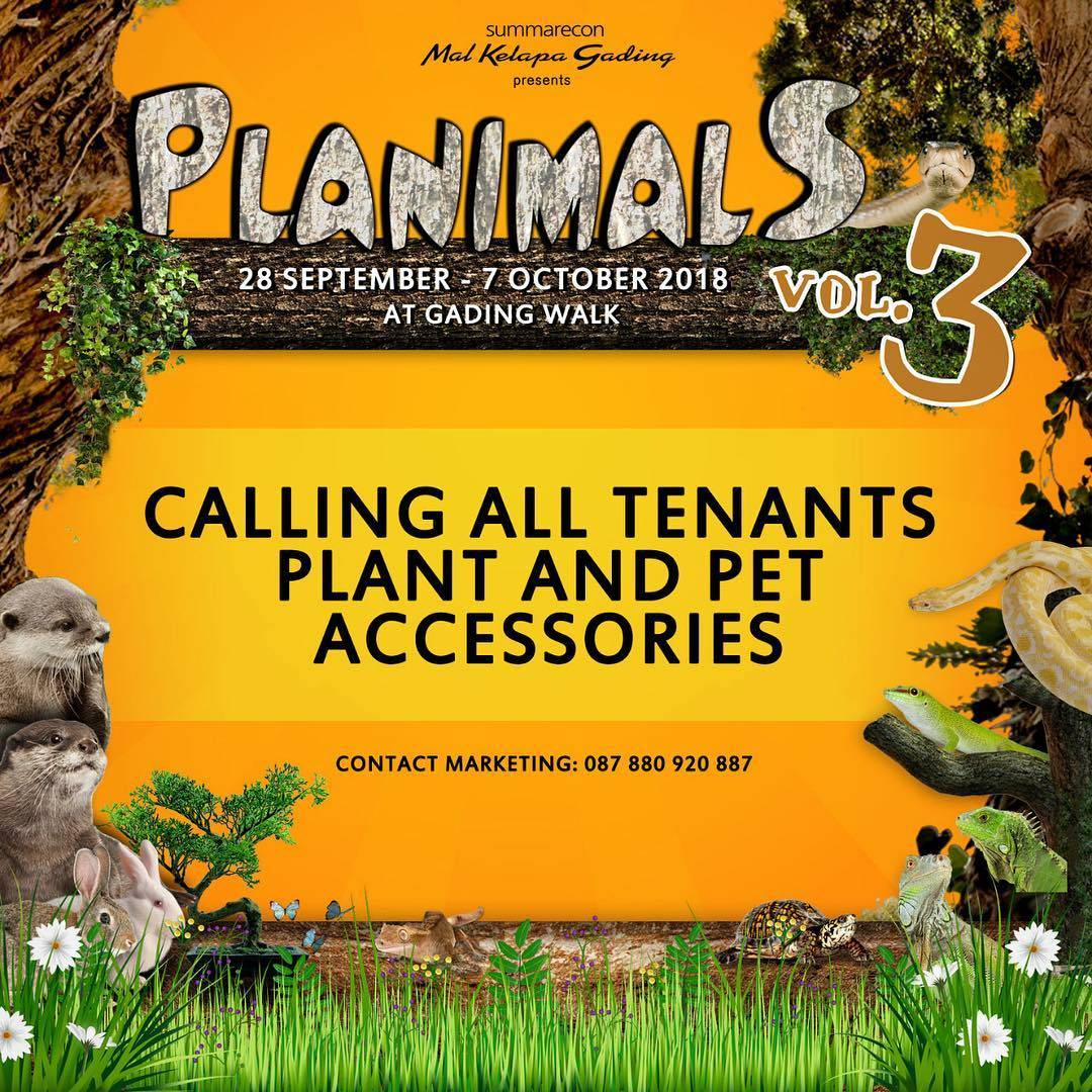 MKGLaPiazza's tweet photo. Calling all tenants for “PLANIMALS” Expo at Mal Kelapa Gading ! 🐶🐱🐹🐔🦉🐢
.
.
.
.
.
.
.
#planimals #animals #animalsexpo #pet #plants #malkelapagading #mkglapiazza https://t.co/n2M8kgr5wJ