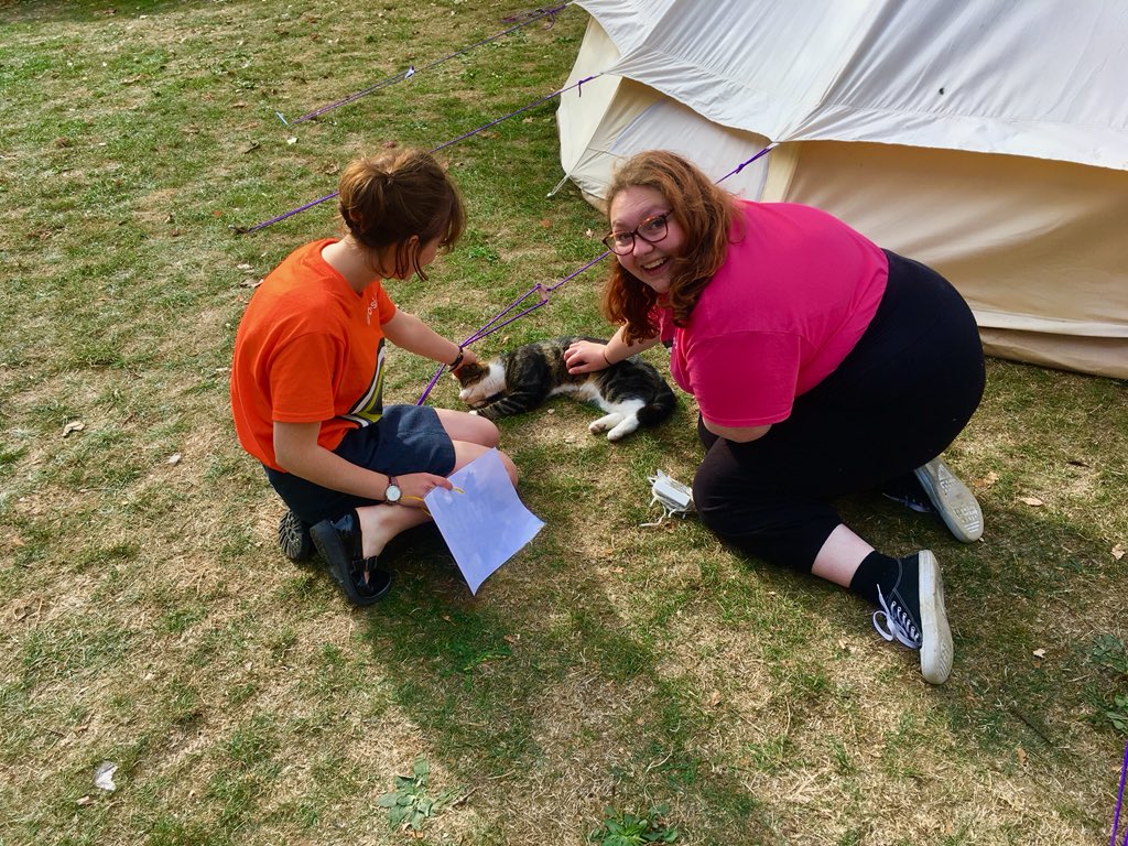 bside_intransit's tweet photo. We made a new friend packing down the #WHYfest #WhyFestDorset https://t.co/aKdndSEQEh