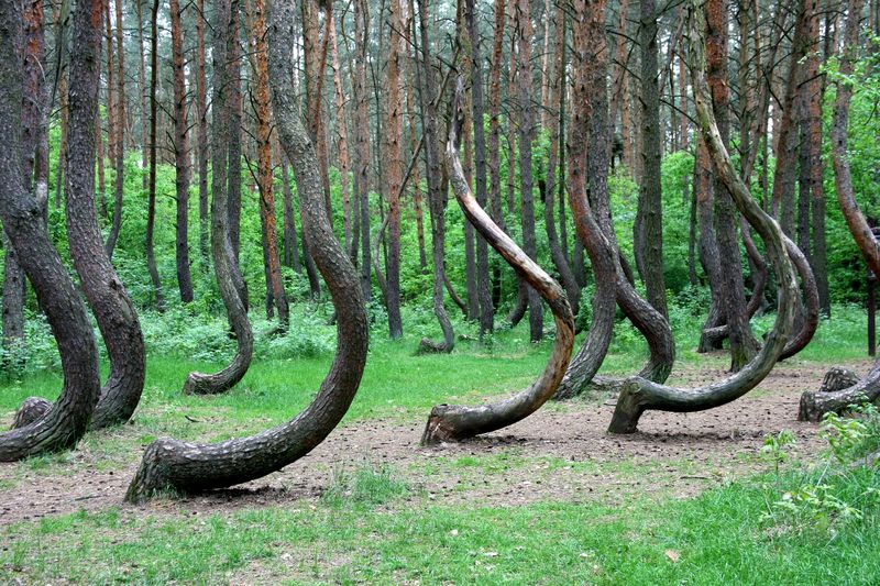александр свифт фото хоя бачу сейчас