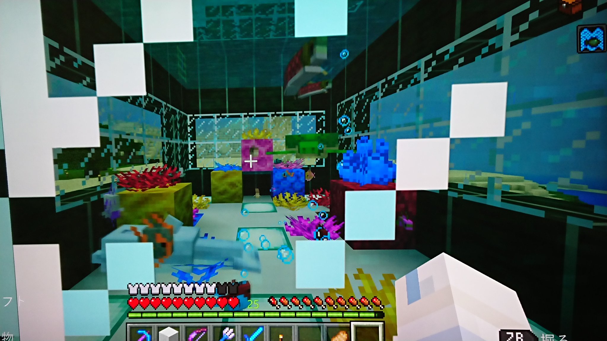 マイクラ水族館 Twitter Search Twitter