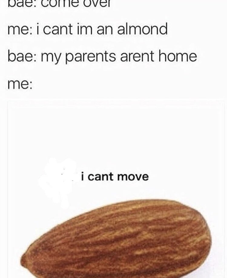 Monadity's tweet image. 