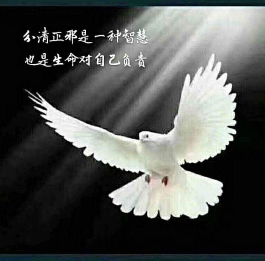 恩广:每一片自由的羽毛，都是刺向专制的利剑，因为自由是正义的，专制是邪恶的。所以任何专制者想的不是自我反省，不是做合格的人；而是堵住自由，堵住影响他们欲望的正义！