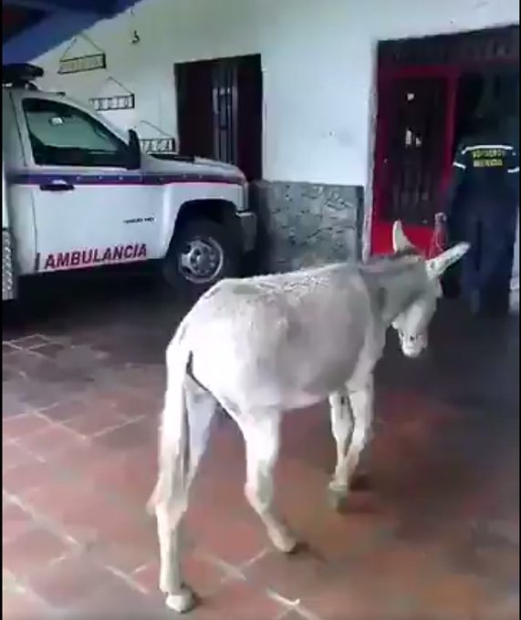 Ver imagen en Twitter