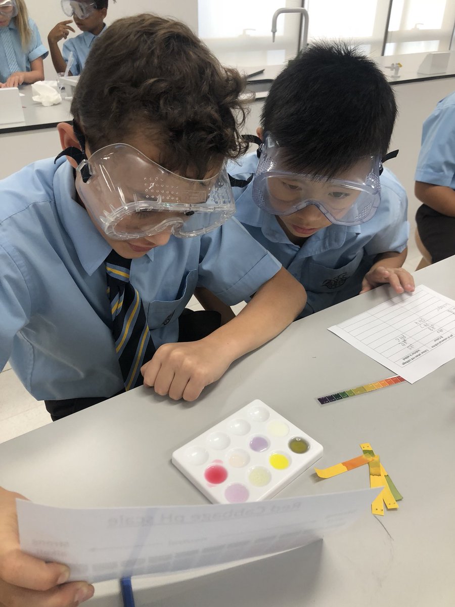 Grade 3-5 mad scientists using red cabbage indicator to get for household acids and alkalis