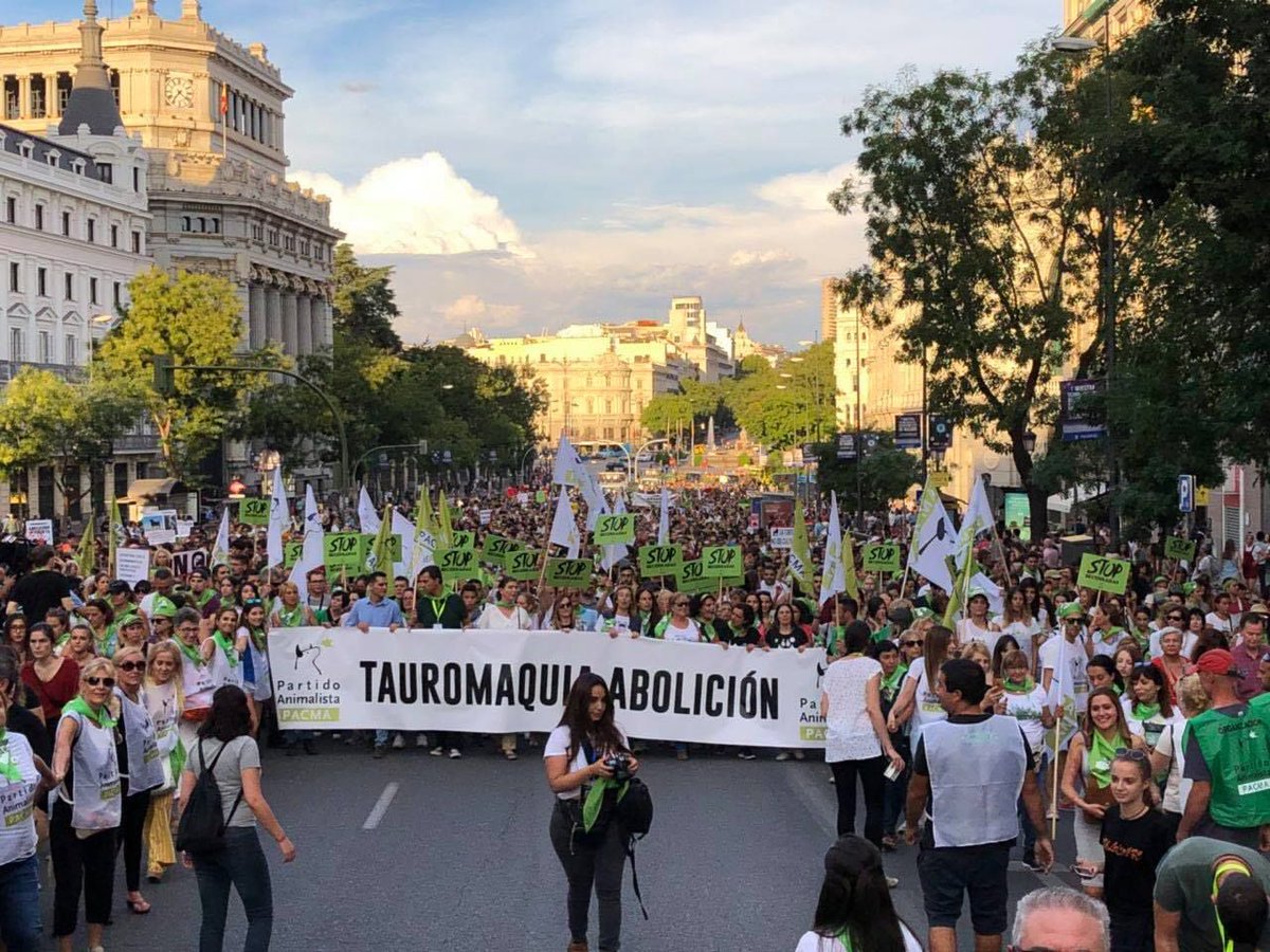 PartidoPACMA's tweet photo. ¡Gracias por hacer la movilización más masiva de la historia por los animales! ¡Hemos desbordado el centro de Madrid de ilusión y esperanza para los animales! 💚 #MisiónAbolición https://t.co/klilbFy2Q5