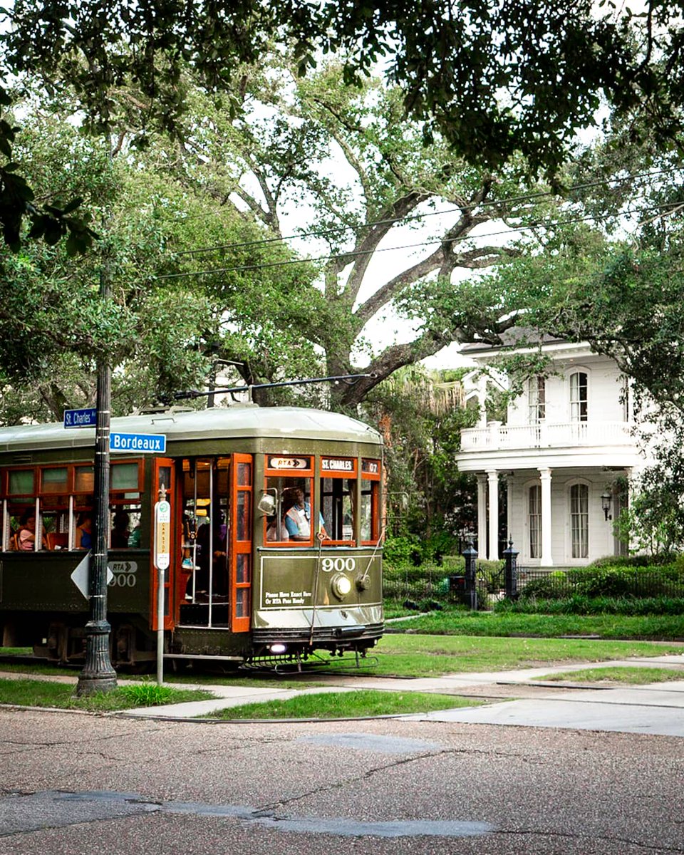Nola_ValStudio's tweet photo. #NewOrleans #streetcar The best way to see Uptown! #OneTimeInNOLA #nola https://t.co/NoFaYzzWtk