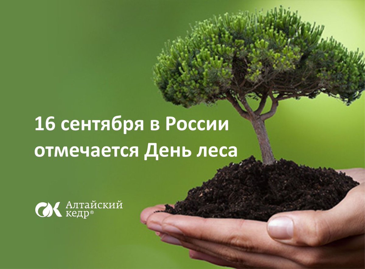 Друзья, 16 сентября в России отмечается День леса! 

С давних времен лес щедро дарил человеку свои дары, кормил его, одевал и согревал. Мы восхищаемся красотой "зеленой кладовой" природы, ее вековой мудростью. 

Лес в России - это бесценный дар природы и величайшее национально...