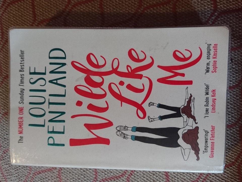 GraceMBH's tweet photo. Late to the party, but just finished #WildLikeMe by @LouSiDe and it was just lovely. Can't wait for the next one! https://t.co/w4xF2ugcgF