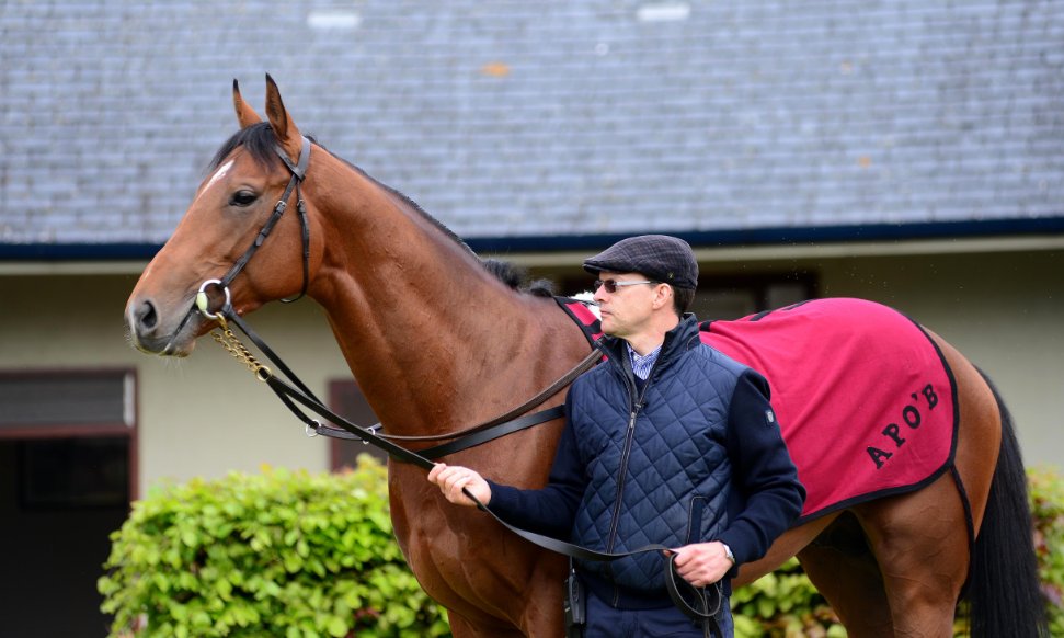 Jackie Edgar (jackie_edgar) Twitter