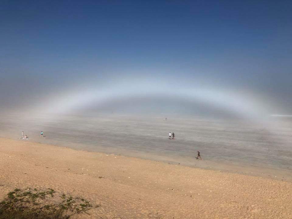 greenprojectorg's tweet image. A #unique #whiterainbow in the #sea of #fog, early morning at #CableBeach, #Broome, #WesternAustralia.