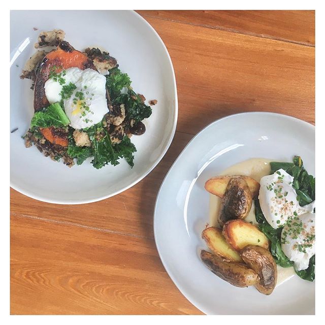 Brunch is happening RIGHT NOW at Basic Kitchen! You heard right... we're open regular hours today - 9am to 3pm - servin' up all your brunch faves, plus a couple delish newbie dishes like stuffed butterkin squash and rosebank farms fingerling potatoes and eggs! #charlestonbrunch
