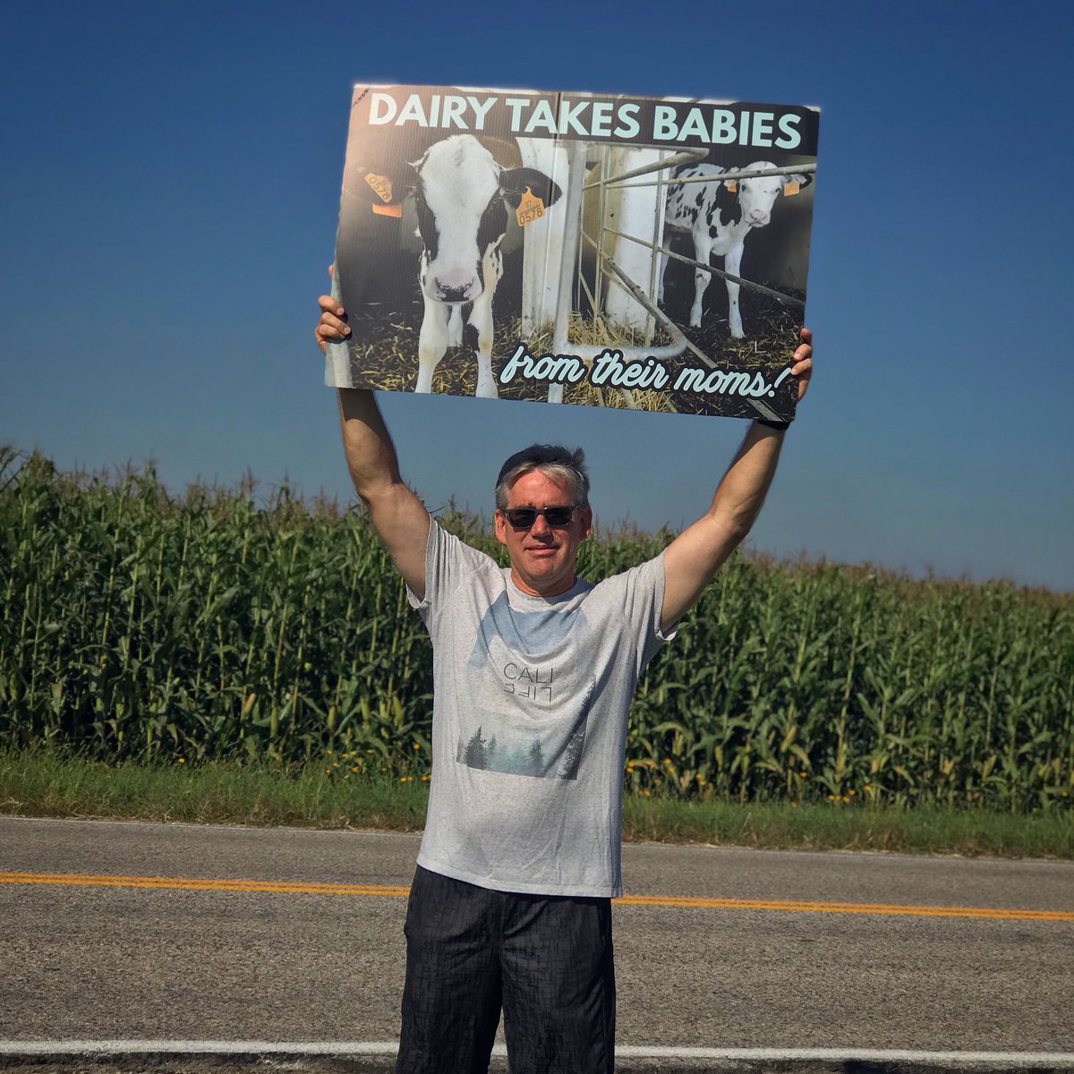 London Cow Save🇨🇦 tweet media