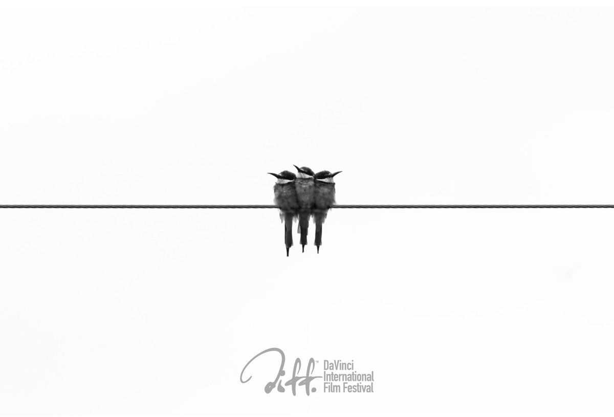 davincifestival's tweet image. DaVinci International Film Festival EARLY BIRD deadline is in three (3) days!  #earlybird #entryfee #submit #filmfestival #filmmaker #la #davinci #international #movies #screenwriting #storyline #shortfilm #featurefilm #documentary #hollywood #indiefilm #independentcinema