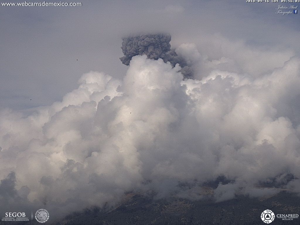 SkyAlertMx's tweet photo. Explosión del @Popocatepetl_MX - 9:54 h.

Columna eruptiva superior a 1.5 km sobre el cráter; dispersión de ceniza hacia EdoMex. https://t.co/IyTIx5l7ik