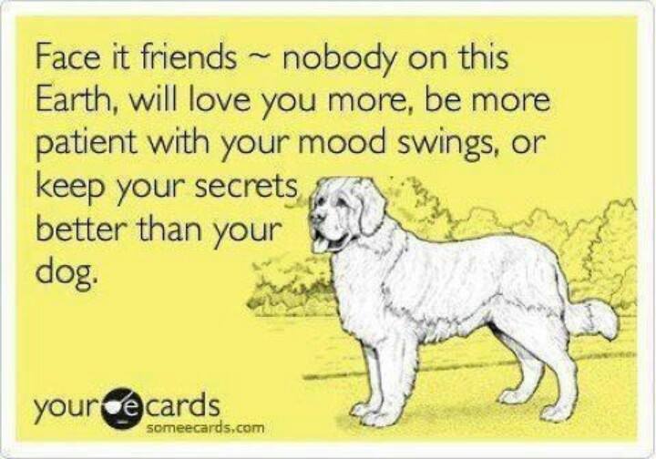DogOwnersGlobal's tweet photo. That's loyalty!... #dogs #doglovers #thepetsbiz #petsitesunite https://t.co/Nnp3IQ6Lj7