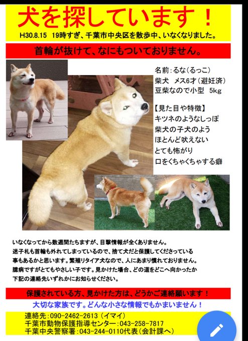 迷子犬のtwitterイラスト検索結果 古い順