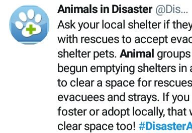 BadProductionz's tweet image. amp.heraldsun.com/news/local/art…

I've been evacuating humans, pets &amp;amp; shelters for space for days NOW.

I Work every disaster w/ a team.

☑YES they were
#DisasterAssistTeam 
#DisasterAnimals