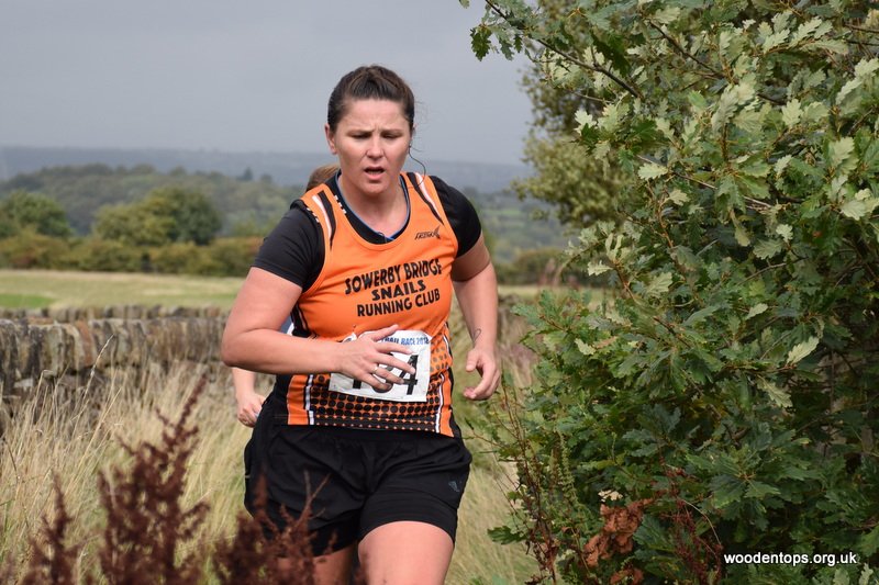 Woodentops tweet media