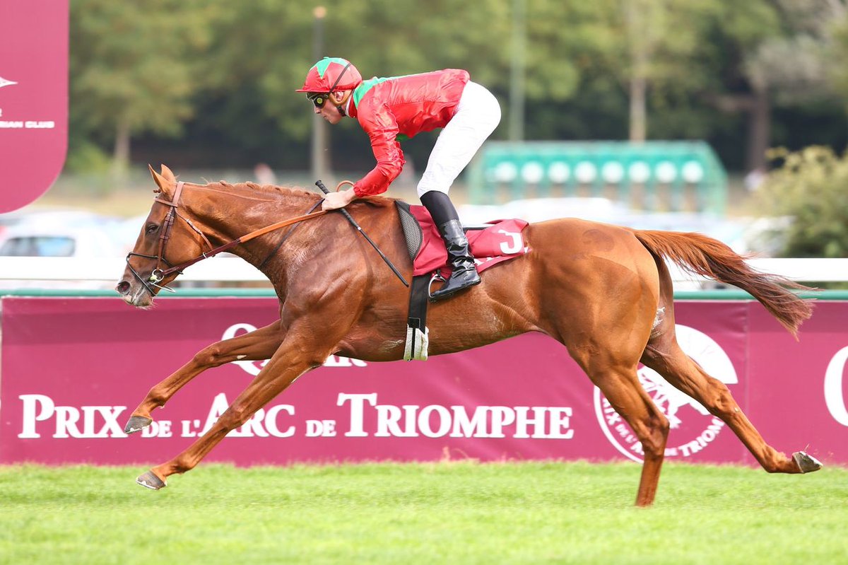 Jour_de_Galop's tweet photo. Le représentant du Gestut Ammerland et @newsellspark, WALDGEIST (M/4 Galileo), triomphe dans le Prix Foy (Gr2) sous la selle de @PCBOUDOT
Les deux autres pensionnaires d'André Fabre, TALISMANIC et CLOTH OF STARS, prennent les 2 autres marches du podium
📽 https://t.co/oZJcmHeLGj https://t.co/cNI59JuHlp