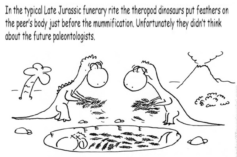 Paleontology - always making new discoveries. 

#MadeUsLaugh