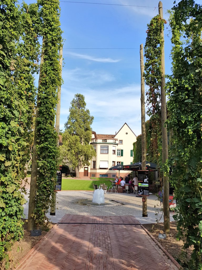 Découverte du #patrimoine brassicole d'#Alsace 🍺🧡
<a href="/Bieres_Meteor/">Brasserie Meteor</a> #JourneesDuPatrimoine2018 #villameteor #meteor #biere