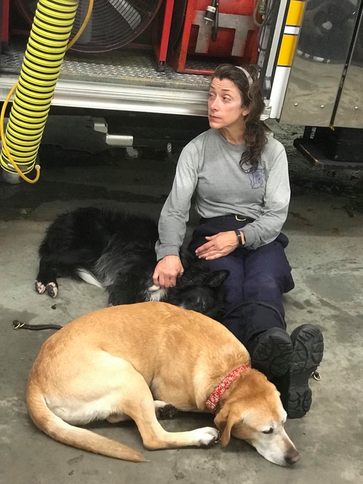 fema's tweet photo. Our Urban Search &amp; Rescue teams, along with @USCG &amp; @NationalGuard, have been supporting local responders for #Florence water rescues. They’ve also helped with hundreds of evacuations &amp; checked on people sheltering at home. https://t.co/8nuOgDwiMC