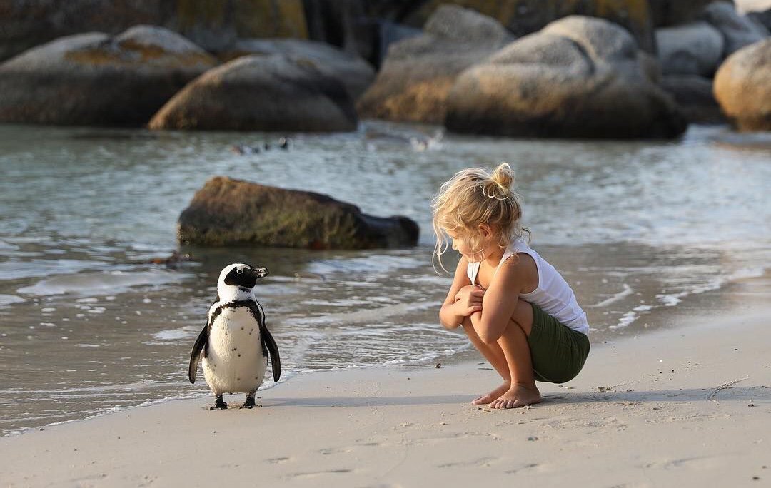 Be kind to every kind.
Not just mankind.

A D Williams