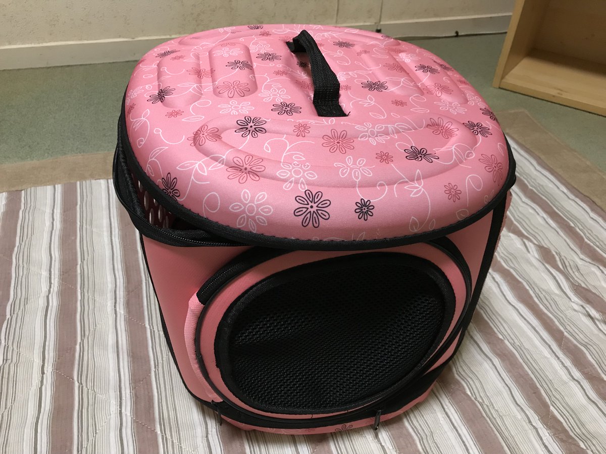 ryomaoda77777's tweet photo. CIEEBOURG_JP（@ClEEBOURG ）様からのプレゼント企画で当選した
猫のキャリーバックが届きました！

思ったよりサイズが小さかったですが、折りたためたり、組み立ても簡単で猫飼ってる人にはとてもいい商品だと思いました！　デザインがめちゃ可愛いです！ https://t.co/zQmo7jtCaN