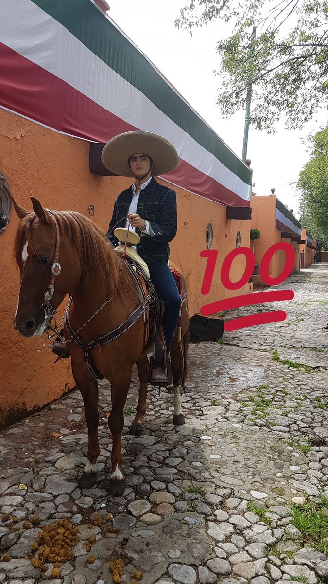 OmarYubeili's tweet photo. Viva México¡!  Vivaaaaa.Buen Domingo. https://t.co/21AiUWKCtL