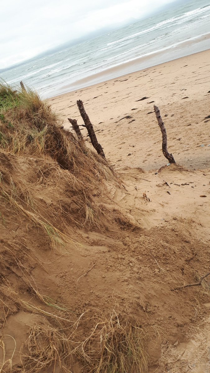 Ms_Gelphy's tweet photo. @TheWestleighSch I'm out and about in Anglesey getting ready for the Newborough beach clean....can you spot the geography? #gelphy https://t.co/tbTPTovYJW