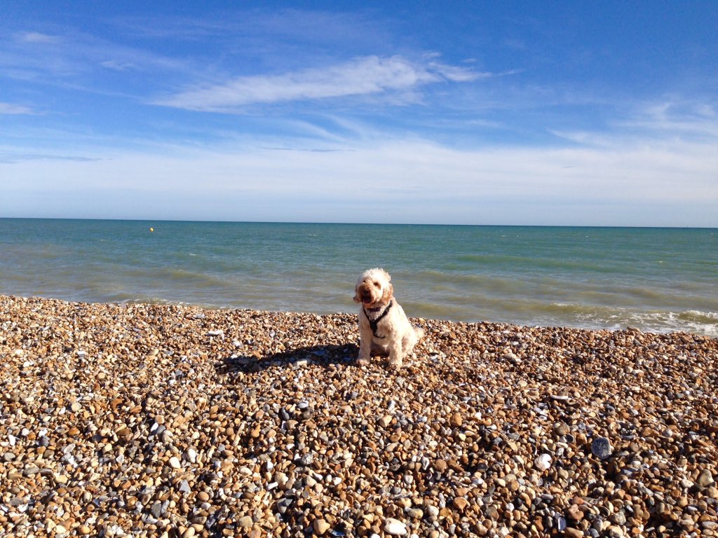 anthonyrh33's tweet image. Went to the beach twice today. Beautiful day for a relaxing walk. First two pics at 9.30am then at 3.30pm. #SamePosition #PevenseyBay #EastSussex