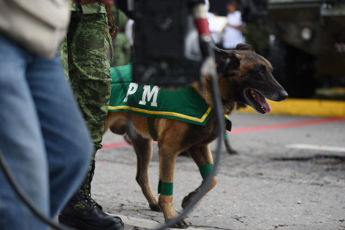 gracoramirez's tweet photo. Así se vive en #Morelos el Desfile Cívico Militar por el CCVIII Aniversario del inicio de la Independencia de #México. #16deSeptiembre https://t.co/mplrnR29RK