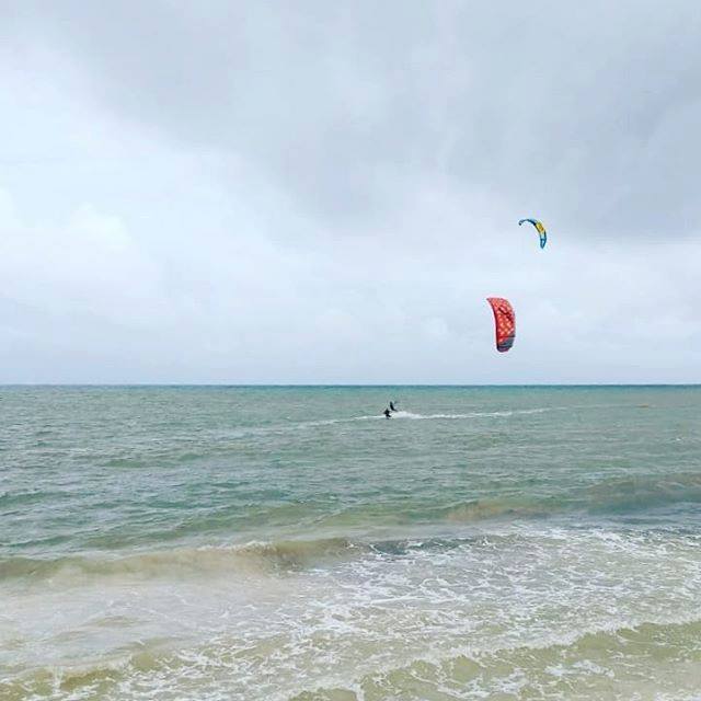 PlayaBoardsport's tweet photo. Kite days are the best days!!! #kiteboarding #september #kitespot #fb #switchblade #boardstop +529841760855 https://t.co/e1stwlRCbD https://t.co/0l32Ttyizo